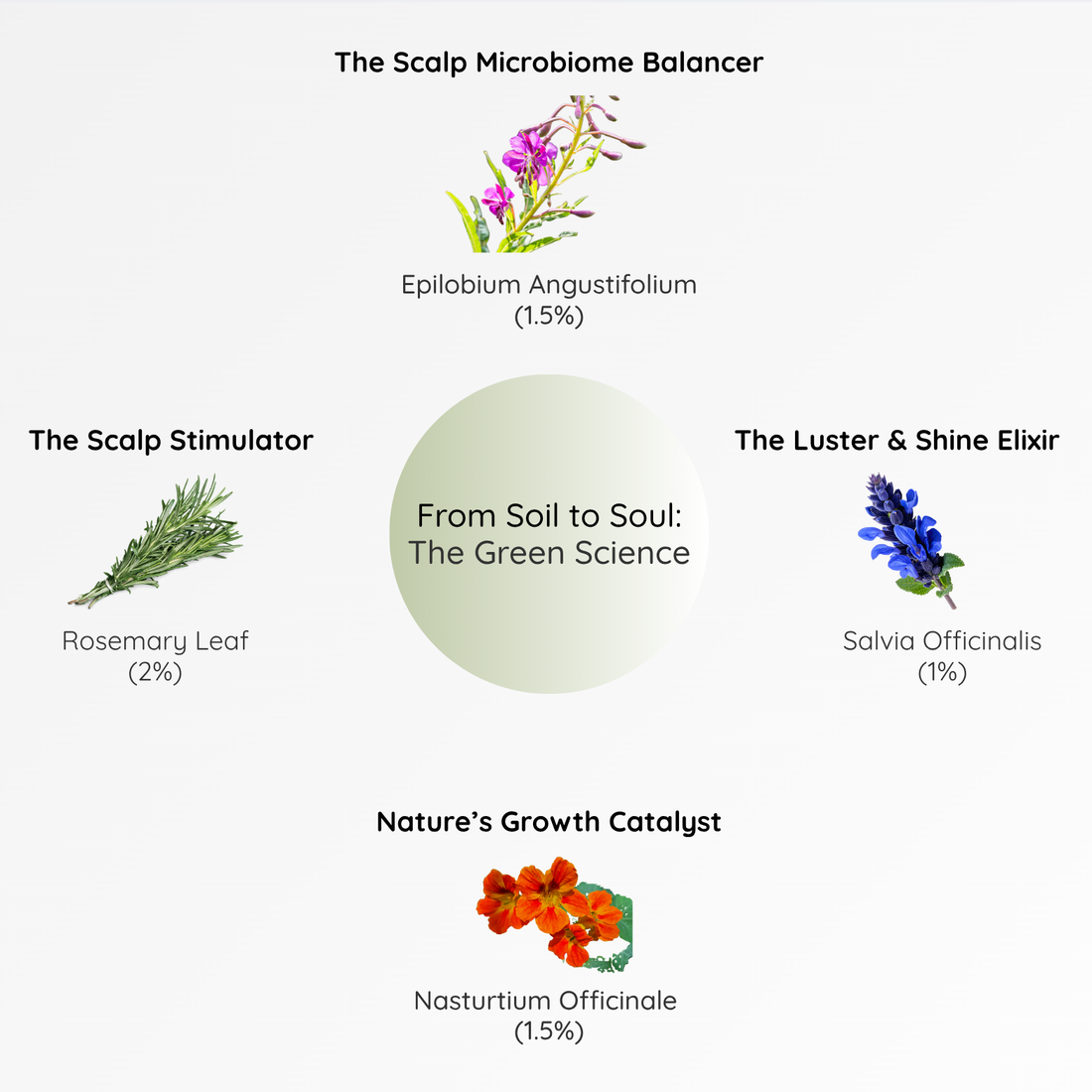 Dr. Recommended Hairfall Recovery Kit: Visible Results in 21 Days