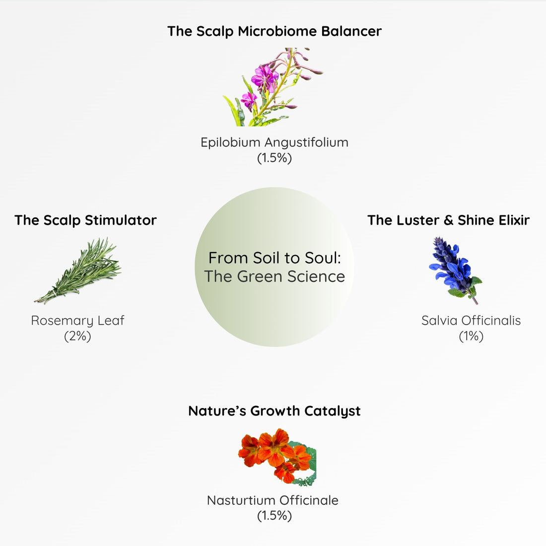 Doctor-Formulated Hair Recovery Starter Kit (Trial Pack)