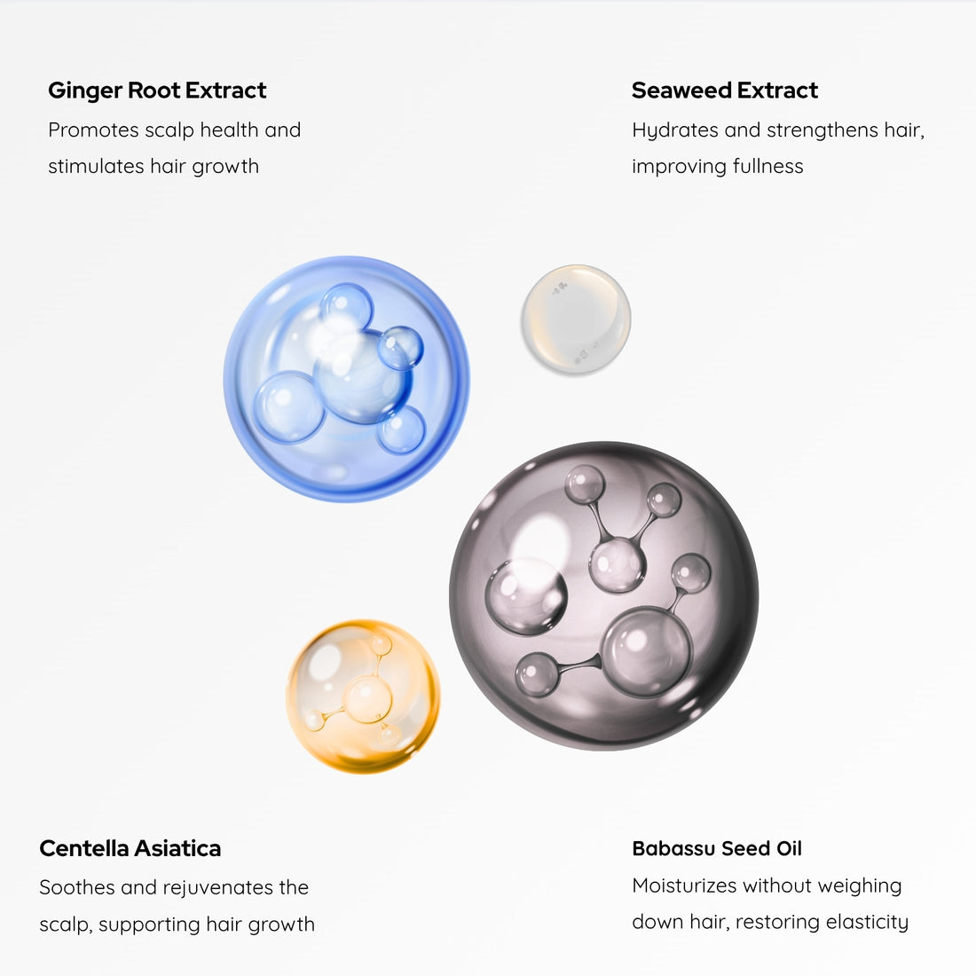 Doctor-Formulated Hair Recovery Starter Kit (Trial Pack)