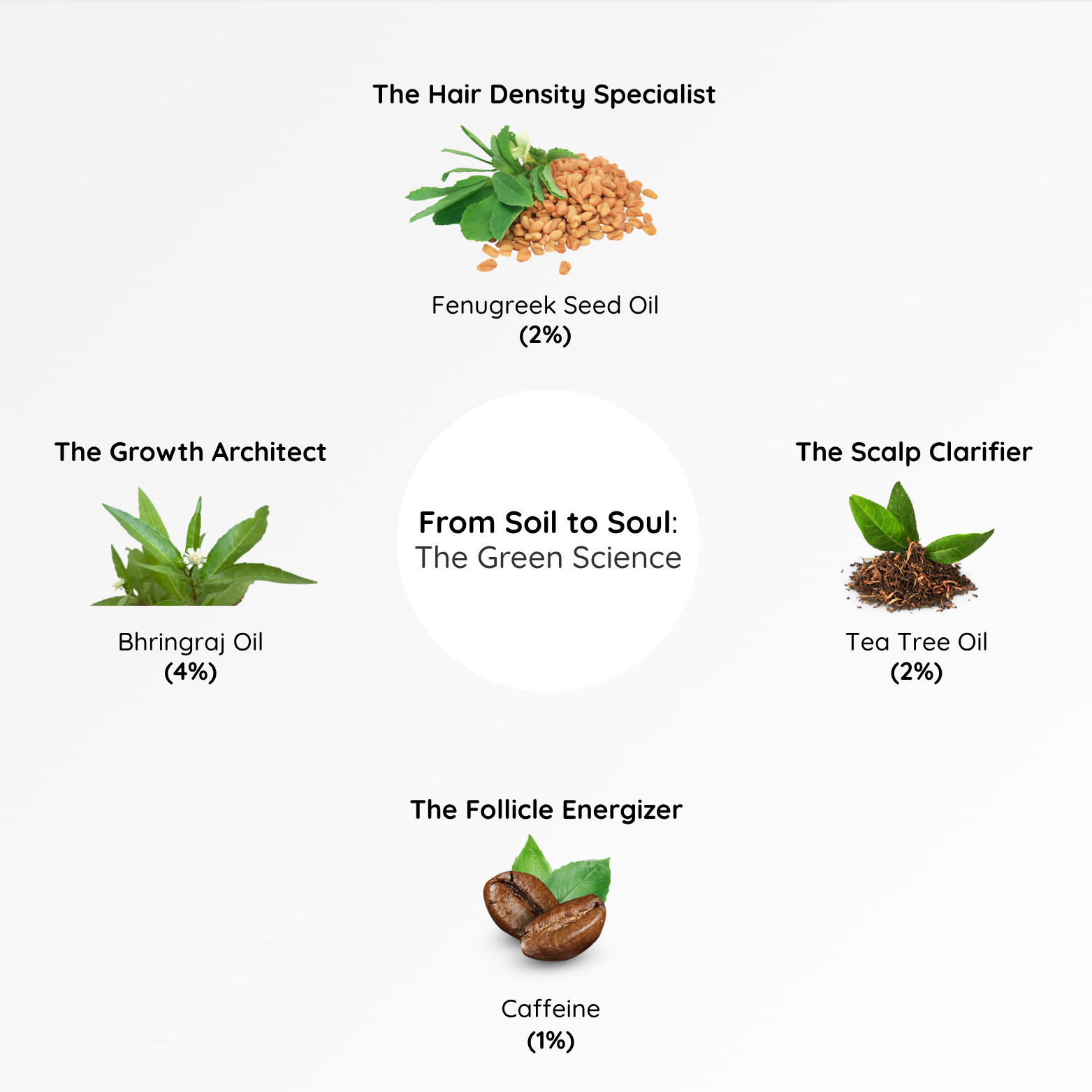 Doctor-Formulated Hair Recovery Starter Kit (Trial Pack)