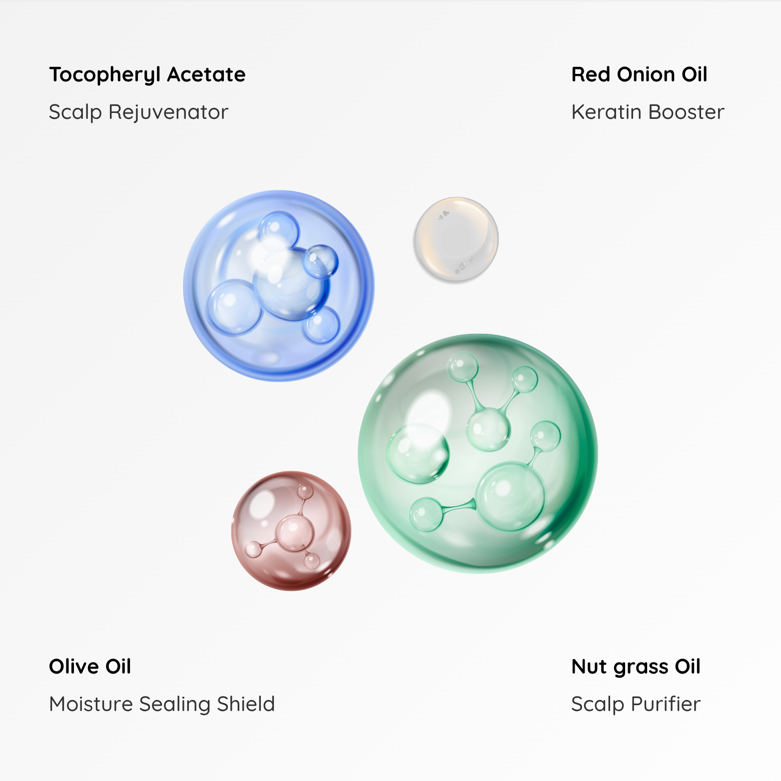 Doctor-Formulated Hair Recovery Starter Kit (Trial Pack)